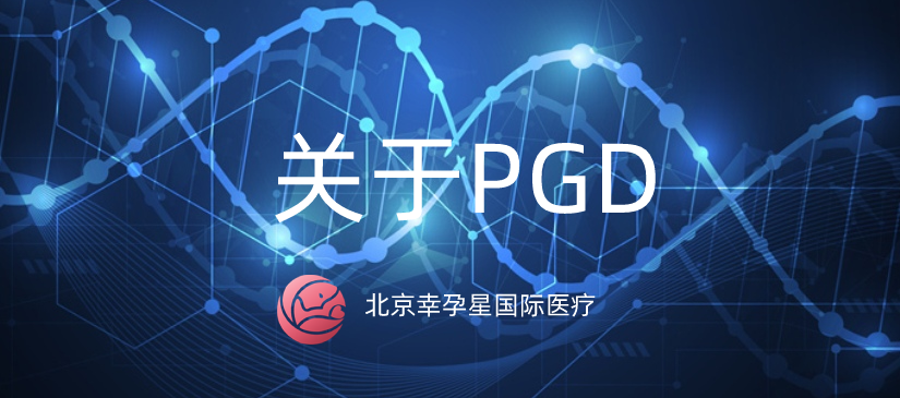 北京幸福好孕国际医疗关于PDG