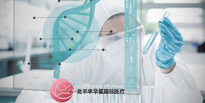 北京幸福好孕第三代试管婴儿成功率多少费用多少